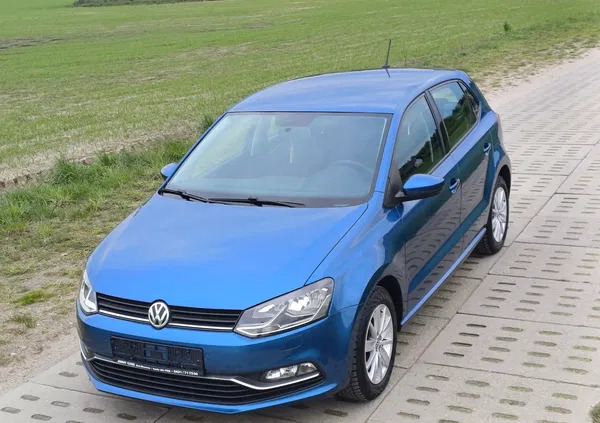 samochody osobowe Volkswagen Polo cena 28900 przebieg: 173000, rok produkcji 2014 z Koło